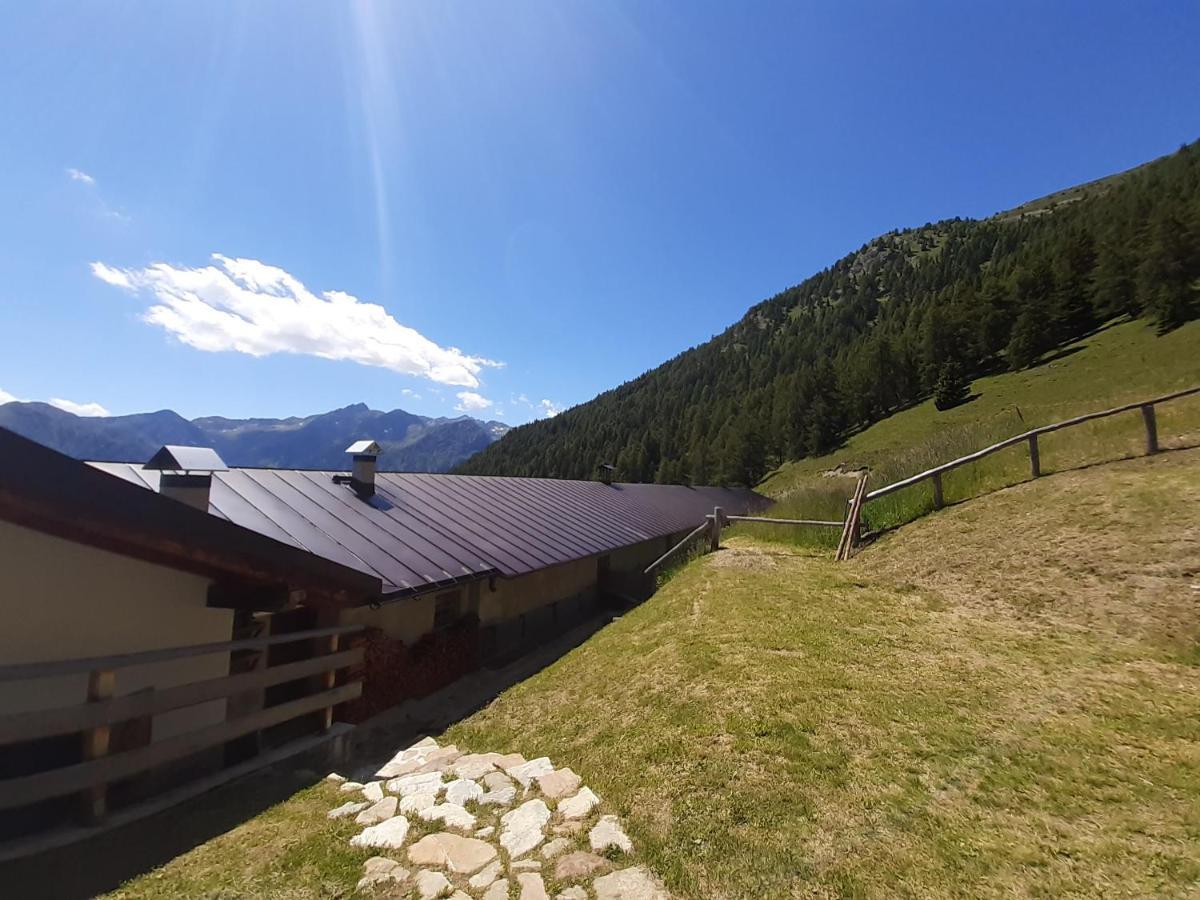 Restor Natura Malga Mondent Hotel Pracorno di Rabbi Exterior foto