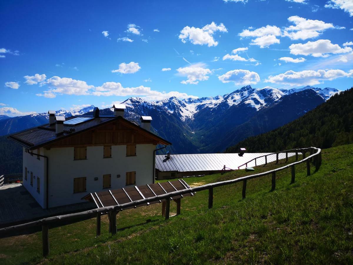 Restor Natura Malga Mondent Hotel Pracorno di Rabbi Exterior foto